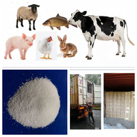 Vitamine C 97% de qualité alimentaire / Acide L-Ascorbique 97% thermiquement stable pour l'alimentation animale Vitamine C 97% enrobée