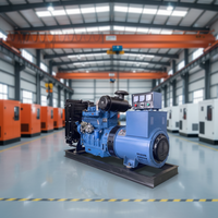 Groupe électrogène diesel Weifang Power Ricardo 50KW/62.5KVA, alternateur 100% cuivre, sortie 110V, usage domestique, fréquence 50/60Hz, 1500 tr/min