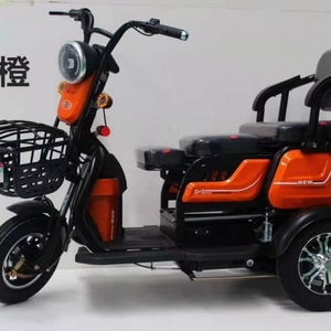 Nouvelle moto électrique à 3 roues 2024, 600W 48V, tricycle électrique de transport, vélo électrique à 3 roues pour adultes - Product Image 4