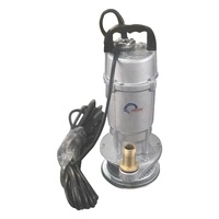 Pompe à eau électrique submersible QDX 1,5 kW 2 CV, personnalisable OEM, sortie 2-4 pouces, roue à aubes en aluminium, vente chaude