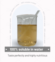 USA/EU Warehouse Groothandel Voedingsmiddelenkwaliteit 100% Wateroplosbaar Oplosmiddel-extractie Papaja Vruchtensap Poeder Vatverpakking Bulk Leverancier