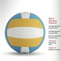 Ballon de volley-ball taille 5, cousu à la machine, PVC expansé haute élasticité 3.0, pour entraînement en salle, matchs et jeux récréatifs