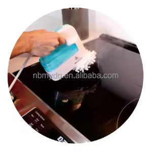 Défroisseur Vapeur Électrique Portable 220V Mini Défroisseur de Voyage Haute Température Défroisseur à Main - Product Image 5