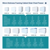Congélateur coffre solaire 208L avec compresseur DC - 12/24V adaptable pour la conservation du poisson, performance stable, écologique, classe A+, usage domestique et extérieur
