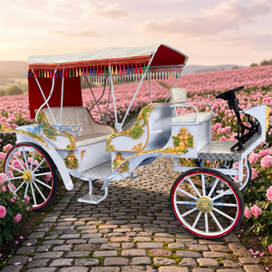 Nouvelle calèche royale électrique de type sculpture, prix usine, à vendre pour parcs, mariages et transport spécial touristique - Product Image 1