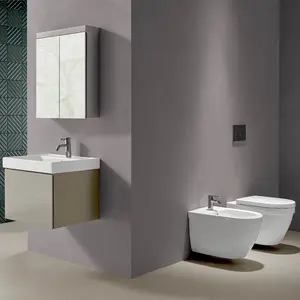 轴W584-1091Wholesale一件式厕所装饰与壁挂马桶座圈浴室卫生间