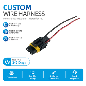 Kabel Harness Pengapian 2 Pin Konektor Tyco Fusebox 20231214 untuk Mobil, Label Pribadi Original Auto Automobile Plug - Product Image 1