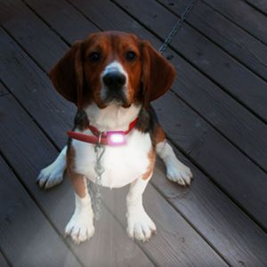 Cinturón Luminoso DB con Luz LED, Recargable, con Batería, para Correr de Noche, Camping y Actividades al Aire Libre - Product Image 6