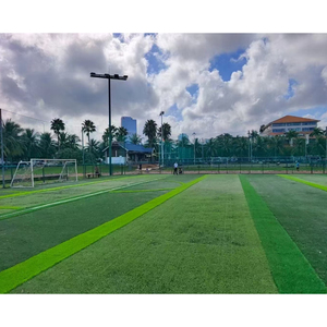 Paquete <span class=keywords><strong>de</strong></span> campo <span class=keywords><strong>de</strong></span> fútbol <span class=keywords><strong>7</strong></span>, césped artificial + porterías <span class=keywords><strong>de</strong></span> aluminio, entrega rápida - Product Image 2
