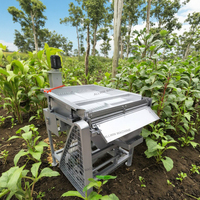 Machine à peler automatique en acier inoxydable pour pois verts, edamame et fèves, pour usage agricole