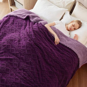 Manta de forro polar Sherpa con logotipo personalizado, supersuave, tela Jacquard 3D de doble cara para cama, sofá, decoración del hogar, punto - Product Image 5