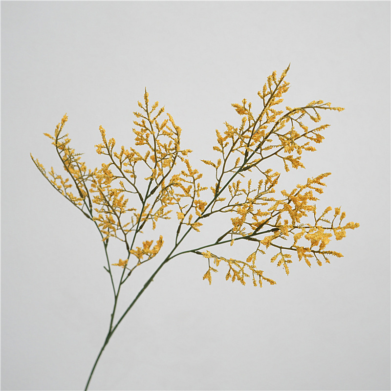 Petit amoureux jaune herbe