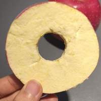 Gefreeze-droogde appelschijfjes Gefreeze-droogde appels Conservering Bulk Gefreeze-droogd fruit Gezonde snacks Gefreeze-droogde appel met schil