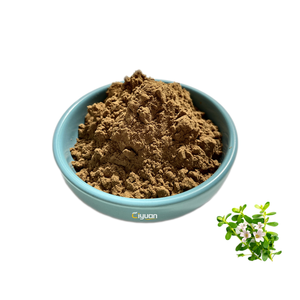 Estratto di erbe naturali prezzo competitivo estratto di <span class=keywords><strong>Bacopa</strong></span> <span class=keywords><strong>Monnieri</strong></span> <span class=keywords><strong>capsule</strong></span> e compresse OEM - Product Image 2