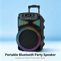 Enceinte Bluetooth portable de 12 pouces haute puissance avec microphone sans fil pour fêtes en extérieur et karaoké
