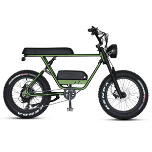 Bicicleta Eléctrica de Diseño Moderno, Bicicleta Eléctrica con Llantas Gruesas, Lista para Enviar, Bicicleta Eléctrica Vintage con Llantas Gruesas - Product Image 5