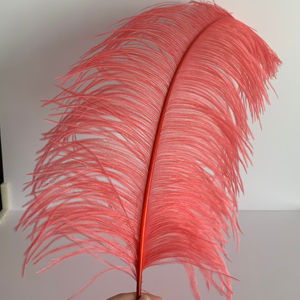 Milli nery liefert Karnevals kostüme Tanz kostüme Straußen federn Feder - Product Image 1