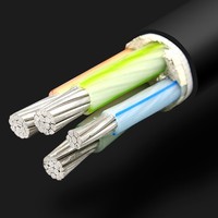 Câble Électrique Souterrain 0.6/1kV 16/25/35/50 mm² XLPE Isolé PVC 4 Brins en Aluminium/Cuivre pour Bâtiment