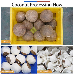 Medium Scale Coconut Milk Processing Line Coconut Peeling, Washing, Grinding and Milk Extracting Machine - Product Image 4
