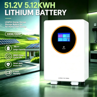 Batterie solaire Jesudom 51.2V 100Ah 200Ah 5kWh 10kWh 8000 cycles avec BMS Lithium LiFePO4 pour l'électricité domestique