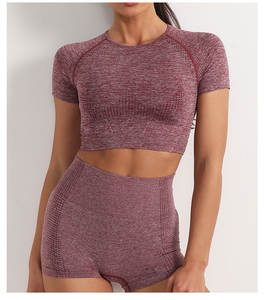 Conjuntos de ropa deportiva de 2 piezas para mujer, traje de Yoga sin costuras personalizado, ropa de entrenamiento, ropa deportiva, conjunto de Fitness para gimnasio femenino - Product Image 4