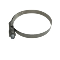 Collier de serrage à couple Constant