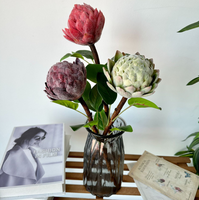 Tiges d'abricot artificielles floquées de qualité supérieure, parfaites pour la décoration intérieure bohème, la mise en scène d'événements et les créations florales DIY, disponibles en rouges vifs