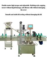 Machine de remplissage et de bouchage de bouteilles de détergent liquide pour toilettes, entièrement automatique, contrôlée par PLC, ligne de remplissage de bouteilles d'eau