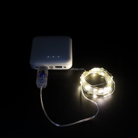 Guirnalda de Luces de Alambre de Cobre con Alimentación USB, con Control Remoto, Bajo Voltaje, para Interiores y Exteriores, Decoración Navideña
