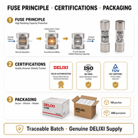 Portafusibles Cerámico Delixi 10x38, Base para Fusibles Térmicos AC 32A 63A 400V, para Automoción, Riel DIN, Certificación CE CCC, Alta Temperatura