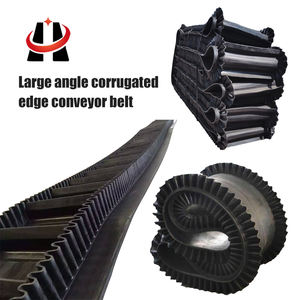 Bande transporteuse d'ascenseur en spirale pour le transport vertical d'aliments pour volailles à grains - Product Image 2