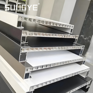 דלתות אלומיניום מלאות מבית SUNGYE ישירות מהמפעל, עיצוב פשוט, דלת אלומיניום חיצונית עם פאנל חלת דבש עמיד בפני רעשים וחזק במיוחד - Product Image 4