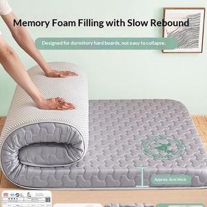 Matelas simple en mousse <span class=keywords><strong>à</strong></span> mémoire de forme pour étudiant en dortoir, housse de matelas, mobilier de maison, chambre <span class=keywords><strong>à</strong></span> coucher, tatami, appartement locatif, coussin spécial ultra-doux - Product Image 6