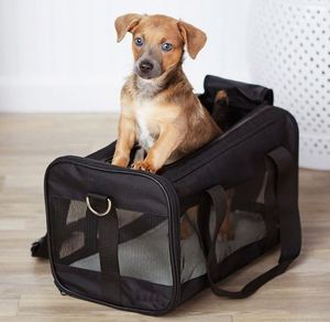 Sac de transport pour animaux de compagnie, souple, portable, pliable, durable, pour chats, petits chiens, chatons ou chiots, échantillon gratuit - Product Image 5