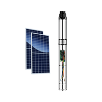 Pompe à eau solaire WINSOLAR DC 4 pouces avec turbine en plastique, sortie en fer, contrôleur intégré, pour puits profond