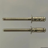 Rivets à tête fraisée en acier inoxydable 304, corps en forme d'hippocampe, à un seul tambour, avec noyau fileté, type CSK Unigrip, rivets aveugles