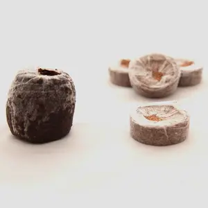 Premium Kwaliteit Merg Mos Kokos Pellets Zaad Groeiende Kokosnoot Turf Pellet Uit Vietnam Klaar Voor Export
