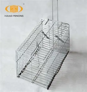 Big Foldable Galvanised Pigeon Dove Bird Trap Cage Feral Pigeon Humane Way  with The one-Way Entrance Trapping Pigeons Doves in Cages (40x40x26