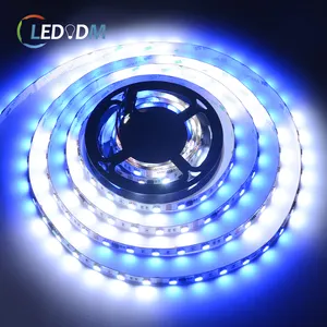 Shenzhen Factory SMD5050 Rgb Led Strip WS2818 TM1934 IP20 IP65 IP66 IP67 IP68 Waterproof 3oz PCB Magic Led Flexible Strip Light