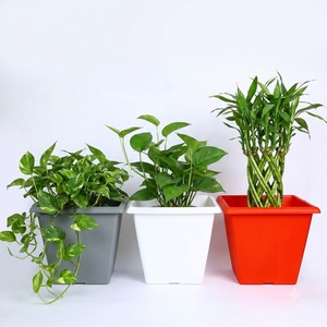 Pot de fleurs carré en plastique PP, large ouverture, corps conique, 3 options de couleur, design moderne minimaliste pour jardin intérieur et extérieur - Product Image 1