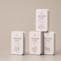 Coffret d'échantillons de parfum, boîte rectangulaire vide en fer blanc avec couvercle, format voyage, pour baume parfumé, rangement, logo personnalisé, vente en gros, cosmétiques, lotions