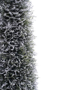 Árbol de plástico artificial en forma de cono Flocado de 1,3 metros de altura al por mayor para la decoración interior y exterior del hogar - Product Image 4