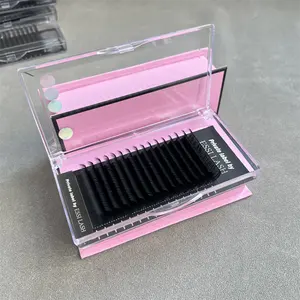 Pesta As Factory All Size Aguud Silk Lashes Extensions Cosmetics Oem Private Label Lashes Extension