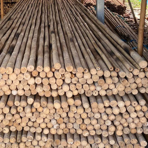 Estacas cortas de bambú para jardín para plantas de vivero y verduras trepadoras, producto ecológico hecho de materias primas - Product Image 4
