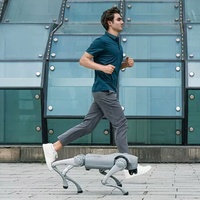 Robot Perro Cuadrúpedo Mecánico Inteligente Personalizable de Gran Tamaño para Educación, Servicio Científico y Equipamiento