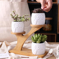Pot de fleurs créatif de qualité supérieure en céramique décorative, avec cadre écologique classique en forme de hibou et emballage combiné en boîte avec insert.