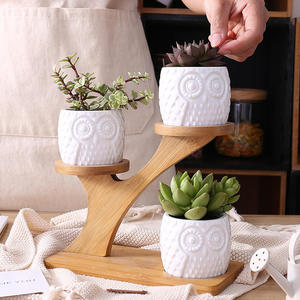 Pot de <span class=keywords><strong>fleurs</strong></span> créatif de qualité supérieure en céramique décorative, avec cadre écologique classique en forme de hibou et emballage combiné en boîte avec insert. - Product Image 5