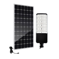 Lampe solaire intelligente à panneau séparé, tout-en-un, pour projets gouvernementaux