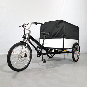 Triciclo Elettrico da Carico ESTER 500W Nuovo con Tettuccio Morbido Personalizzato, Bici Cargo Elettrica a 3 Ruote, Cassone in Alluminio Alleggerito - Product Image 4