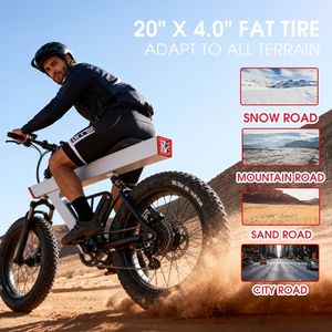 Vélo électrique tout-terrain à pneus larges d'origine chinoise, batterie au lithium 48V, haute vitesse, hors route, 20 pouces, vélo électrique Q1 - Product Image 3
